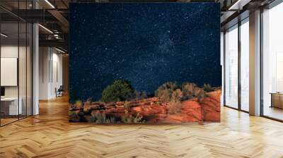 Natures Stars Wall mural