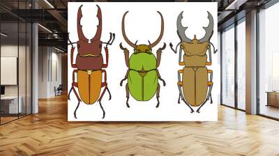 stag beetle isolated on white Wall mural