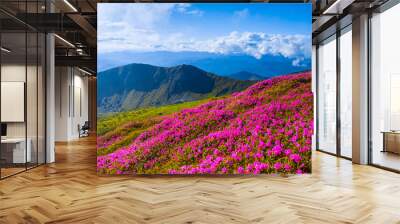 panoramic scene, blooming pink rhododendrons flowers, amazing panoramic nature scenery Wall mural