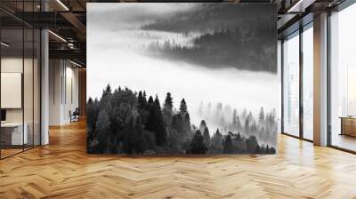 wonderful black - white mountains image, trees in morning fog, beautiful autumn scene, monochromatic amazing nature background, Carpathian mountains, Ukraine, europe Wall mural