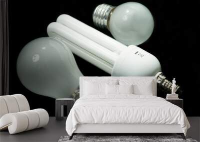 Energy saving light bulb and tungsten Wall mural