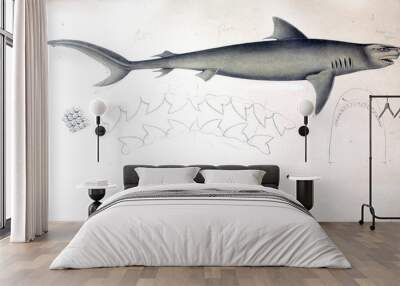 Illustration of animal Wall mural