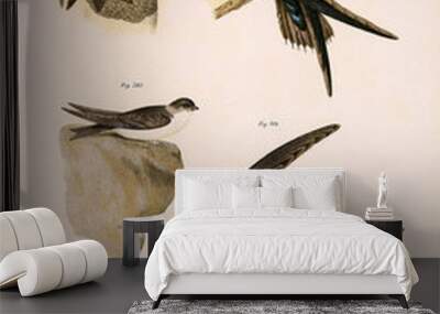 Illustration of birds. Wall mural