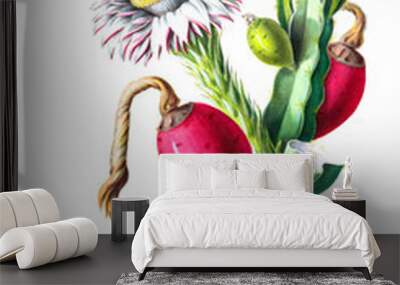 The Botanical theme. Wall mural