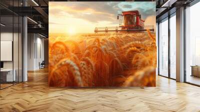 Field of plenty - harvesting wheat with tractors, illustrating dedication of farmers, golden spikes of wheat, crucial role of modern machinery in sustaining agricultural productivity. Wall mural