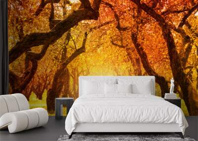 Autumn. Fall. Autumnal Park Wall mural