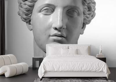 Gypsum copy of ancient statue Venus head isolated on white background. Plaster sculpture woman face Wall mural