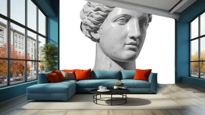 gypsum copy of ancient statue venus head isolated on white background. plaster sculpture woman face Wall mural