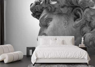 Head of a famous statue by Michelangelo - David from Florence, isolated on white Wall mural