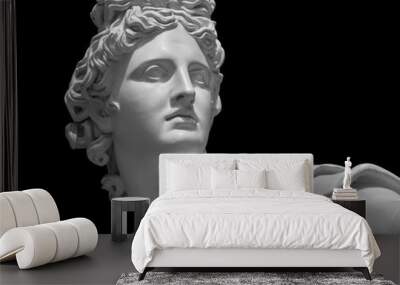 Portrait of a plaster statue of Apollo isolated on black Wall mural