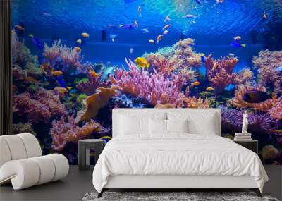 tropical fish on a coral reef Wall mural