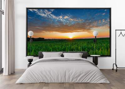 4k monitor isolated on white Wall mural