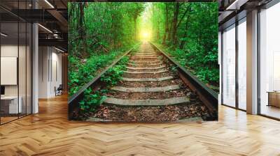 a railway in the spring forest. Tunnel of Love, green trees and the railroad Wall mural