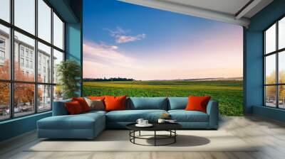 Green grass under blue sky Wall mural