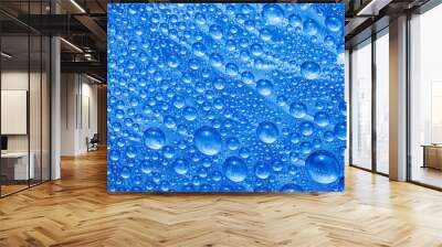 Water drops Wall mural