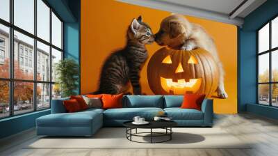 Kitten and puppy with jack o lantern pumpkin on an orange background. Halloween background, Halloween banner Wall mural