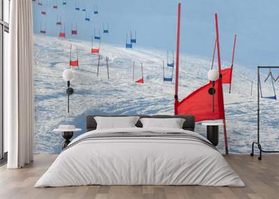 Ski gates with parallel slalom Wall mural