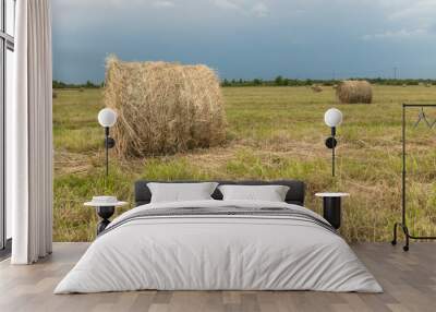 hay in rolls on the field, against the background of a blue sky with clouds Wall mural