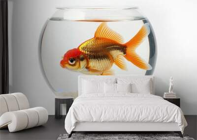 Pretty small goldfish in circular glass tank isolated on white Wall mural