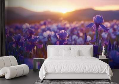 Purple iris field at dawn in Provence France Wall mural