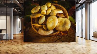 russula mushrooms in a wicker basket close up on moss Wall mural