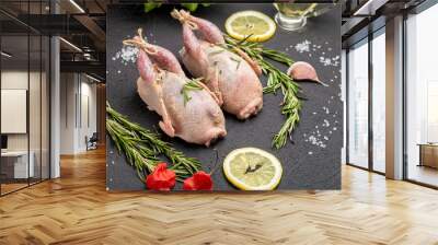 Fresh raw meat quails with herbs and greens rosemary, basil ready for cooking on close-up. Uncooked quail Wall mural