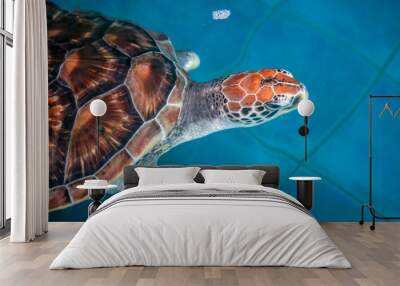 Thailand postard views Wall mural