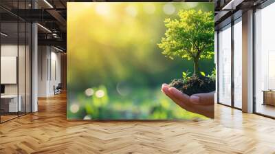 Human hands cradle a young tree with soil, symbolizing care and growth in a bright, natural setting, Nature ecology concept, World Earth Day, ESG campaign and CSR with people, world environment Wall mural