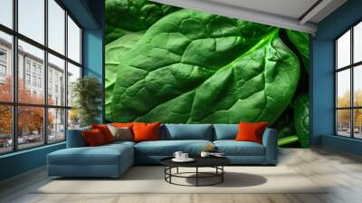 A hyper-realistic macro photo captures the intricate details of fresh spinach leaves Wall mural