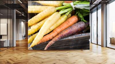 Carrots. Wall mural