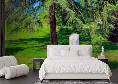 Fairytale green park . Tropical parkland with green meadow  Wall mural