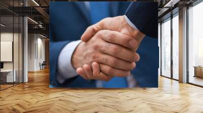 Two business people shaking hands, businessman, hand Wall mural