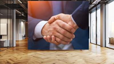 Two business people shaking hands, businessman, hand Wall mural