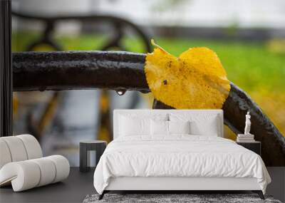 Autumn landscape in rainy day - view of the yellow fallen leaf on bench in park, closeup Wall mural