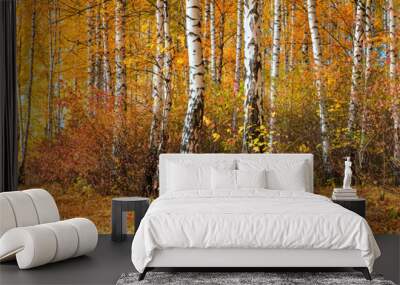 Birch grove on sunny autumn day, beautiful landscape through foliage and tree trunks, panorama, horizontal banner Wall mural