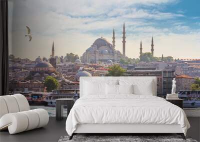 Summer city landscape - view of the promenade of Istanbul and the historical district of Fatih, in Turkey Wall mural