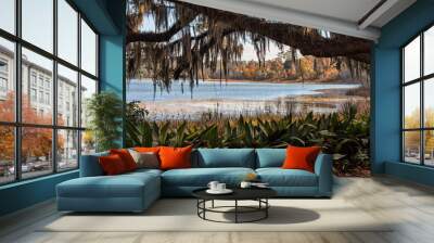 Scenic View of Lake Overstreet in Tallahassee, Florida Wall mural