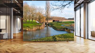 Colorful Dutch landscape in autumn Wall mural