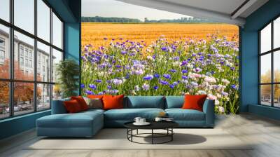 Colorful field margin on the edge of a stubble field Wall mural