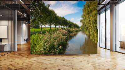 Dutch landscape with water, reed, trees and grass Wall mural