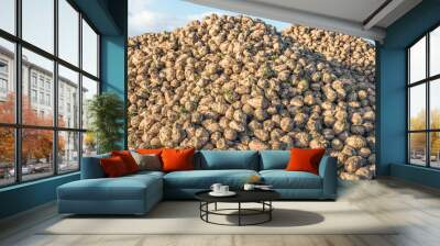 Large heap with many harvested sugar beets Wall mural