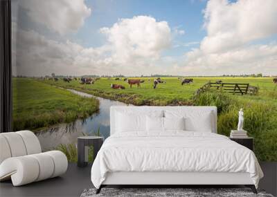 Typical Dutch polder landscape with grazing cows in the meadow and clouds reflected in the mirror smooth water surface of the ditch. The photo was taken near the village of Langerak, South Holland. Wall mural