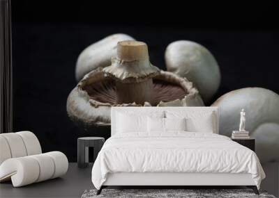 Champignons on a black background. White mushrooms. Natural product. Healthy food. Wall mural