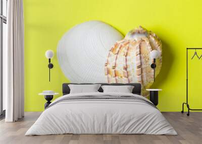 Seashells on a yellow background. Two seashells lie in the middle of the image. Marine concept. Wall mural