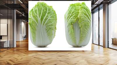 Chinese cabbage isolated on white background Wall mural