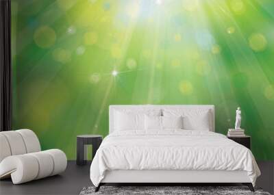 Vector green background with rays, lights and grass border. Wall mural