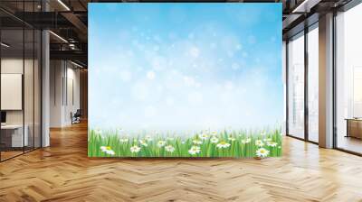 Vector sky background with grass and chamomile. Wall mural