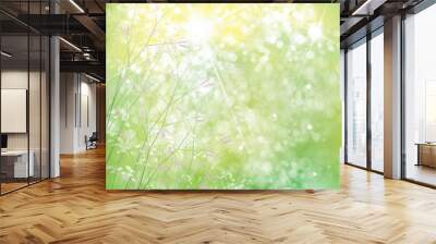 Vector summer,  green,  nature  background,  flowers  on bokeh green background. Wall mural