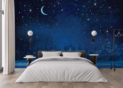 Vector winter wonderland night background. Wall mural