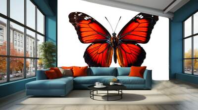 Butterfly close-up on white background, top view, realistic illustration, generative ai Wall mural